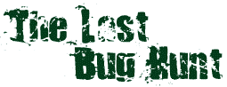 The Last Bug Hunt